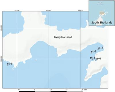 Large Enrichment of Anthropogenic Organic Matter Degrading Bacteria in the Sea-Surface Microlayer at Coastal Livingston Island (Antarctica)